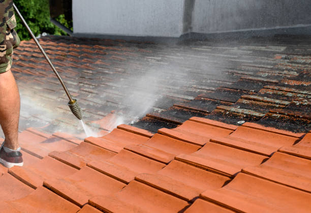 Best Best Pressure Washing Companies  in Jasper, AL