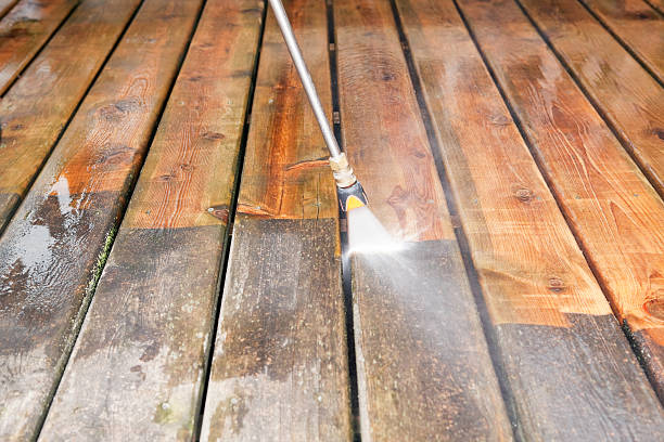 Best Roof Pressure Washing  in Jasper, AL